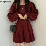 Haven - Ladies Dress Casual Work